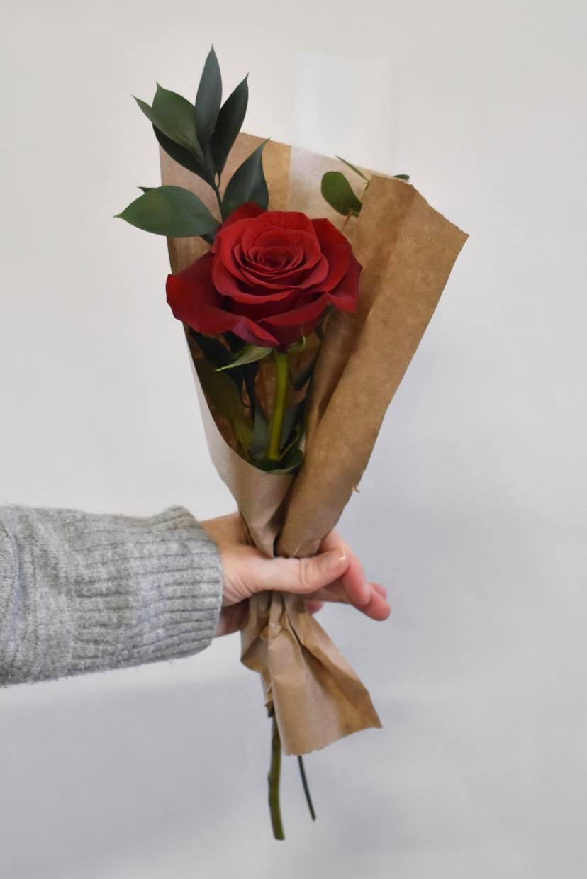 Single Rose